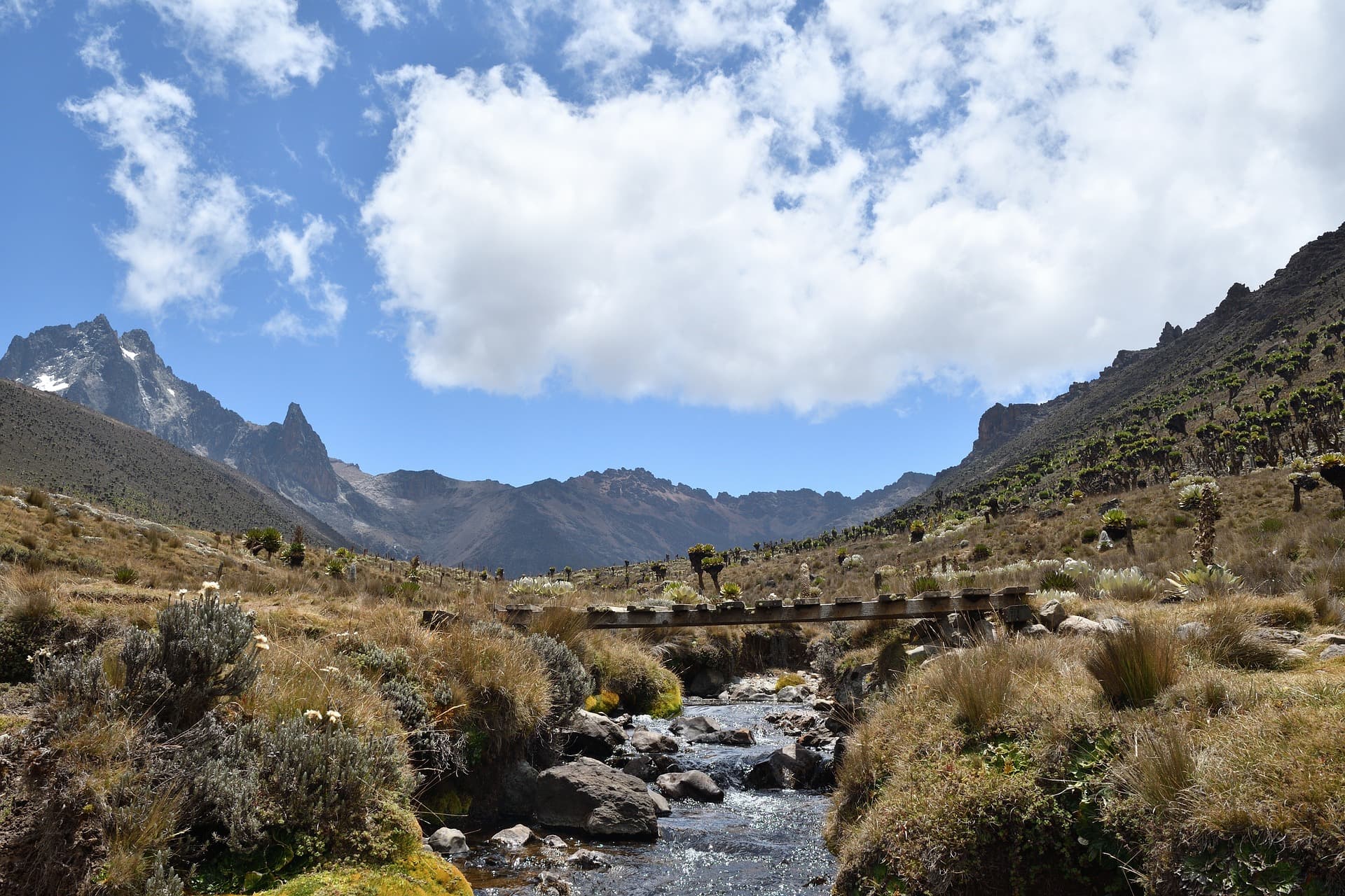Mountain hiking adventure with Tumaini Oasis Adventures